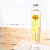 一輪挿しのような、ひまわりのようなイメージで作りました。『黄色のヘリクリサム-Helichrissum-』が新登場!シンプルでありながら、可愛らしさも兼ね備えたハーバリウムです。ラスカスのプリザーブドフラワーと、ドライフラワーのヘリクリサムで作りました。Acorn-Style*オリジナルのハーバリウム・完成品です。