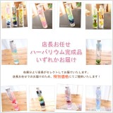 当店で取り扱いのハーバリウムの中からいずれかの商品を1点お届けいたします。試作や撮影用に制作した商品やこれから販売する予定の先行商品の中から、店長がいずれかセレクトしてお届けいたします。