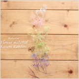 ハーバリウムキット・花材セットです!少量パック・小分けパックなので、必要以上に在庫を抱える必要がありません。ハーバリウム制作に欠かせないプリザーブドフラワーやドライフラワーの花材・お試しキットをご用意しました。本ページでは、かすみ草のレインボーカラー、ハーバリウムが作れる!花材お試しパックになります。(花材のみの販売)