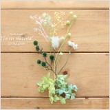 春のグリーンを感じさせるようなハーバリウム花材キット。春をテーマに作りましたが、花材的にはオールシーズン飾ってお楽しみいただけます!こちらは花材のみの販売になりますので、お客様側にて制作していただくキットです。本商品は花材のみの販売です。(オイルやガラス瓶は別売りです。)