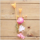 ぽかぽか陽気な雰囲気のハーバリウム花材キット♪可愛らしい雰囲気で、春をテーマに作りましたが、花材的にはオールシーズン飾ってお楽しみいただけます!こちらは花材のみの販売になりますので、お客様側にて制作していただくキットです。本商品は花材のみの販売です。(オイルやガラス瓶は別売りです。)