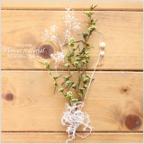 イエローやグリーンなどミステリアスな色合いの花材を使用したハーバリウム花材キットです。こちらは花材のみの販売になりますので、お客様側にて制作していただくキットです。本商品は花材のみの販売です。(オイルやガラス瓶は別売りです。)