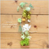 シルバーデージーが主役のグリーン系ハーバリウム花材キット。こちらは花材のみの販売になりますので、お客様側にて制作していただく花材キットです。本商品は花材のみの販売です。(オイルやガラス瓶は別売りです。)