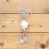 シルバーデージーが主役のホワイト系ハーバリウム花材キット。こちらは花材のみの販売になりますので、お客様側にて制作していただく花材キットです。本商品は花材のみの販売です。(オイルやガラス瓶は別売りです。)
