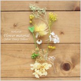 シルバーデージーが主役のイエロー系ハーバリウム花材キット。こちらは花材のみの販売になりますので、お客様側にて制作していただく花材キットです。本商品は花材のみの販売です。(オイルやガラス瓶は別売りです。)