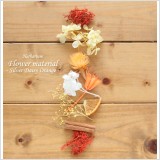 シルバーデージーが主役のオレンジ系ハーバリウム花材キット。こちらは花材のみの販売になりますので、お客様側にて制作していただく花材キットです。本商品は花材のみの販売です。(オイルやガラス瓶は別売りです。)夏
