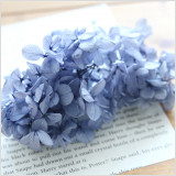 淡いシックな色合いのロイヤルブルー紫陽花!当店もハーバリウム花材として愛用中です。このたび、紫陽花を数量限定販売!アジサイは現在入手困難です。高額なお花のため、約2〜3gの小分け販売です。枝無し・有り、茎タイプなど様々な形状のアジサイです。ご了承ください。