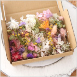 カラフルでかわいい!草花をイメージした花材キットです。ハーバリウム、キャンドル、各種アレンジメント等の材料にお役立てください。使用花材は、プリザーブドフラワーアジサイ、かすみ草、シルバーデージー、スターチス、千日紅、ポアプランツ、ミモザ、HBスターチス、モス、ニゲラオリエンタリス、ラスカスグリーン、ドライグリーン、ソフトストーベ、リンフラワー、スターフラワー、ライスフラワーです。