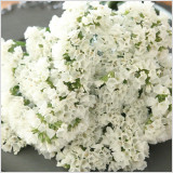 日常遣い、お祝い、仏花として幅広く使用されている白のスターチスです。定番カラーで人気のカラーです。一輪挿しにしたり、スワッグ、レジン、ハーバリウム、キャンドルなどの材料にするのもおすすめ。新鮮な生花の状態で仕入れ、当店で自然乾燥させたスターチスです。