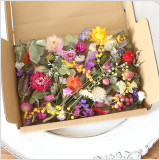 色鮮やかで明るい原色系カラーのドライフラワー 花材セットです。少量の花材をたくさんの種類試せるので、少しずついろんな花材が欲しい方におすすめです。様々なドライフラワーをはがきサイズの箱にたっぷり詰め込みました!
紫陽花
ユーカリ
ミモザの葉
スターチス
ヘリクリサム
千日紅
ラベンダー
ミニトウガラシ
ペッパーベリー
ミモザ
オレガノ
ラムズイヤー
SPバラ(蕾)
ニゲラ
ローダンセ
ラティフォリア
など
茎あり、ヘッドのみなど様々です。ハーバリウム