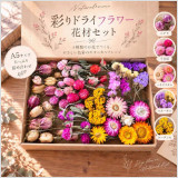ニゲラ、千日紅、ヘリクリサム、スターチス、ローダンセの5種類を詰め合わせた、彩り豊かなドライフラワー花材セットです。
少量ずつ、いろんな花材を試したい方におすすめです!
全て国内農家さんから直接購入している花材です。
箱サイズ(A5):約23×16×深さ2.9cm